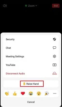 How To Raise Hand In Zoom