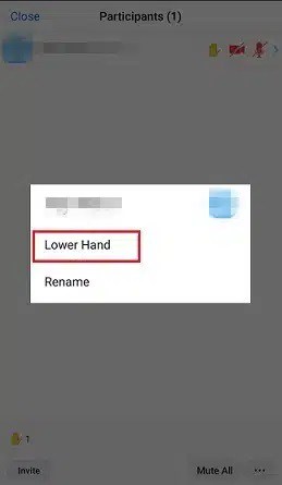 How To Raise Hand In Zoom