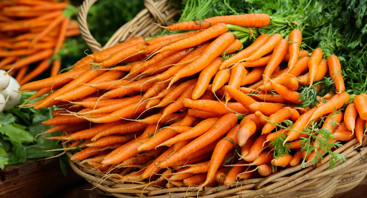 Carrots